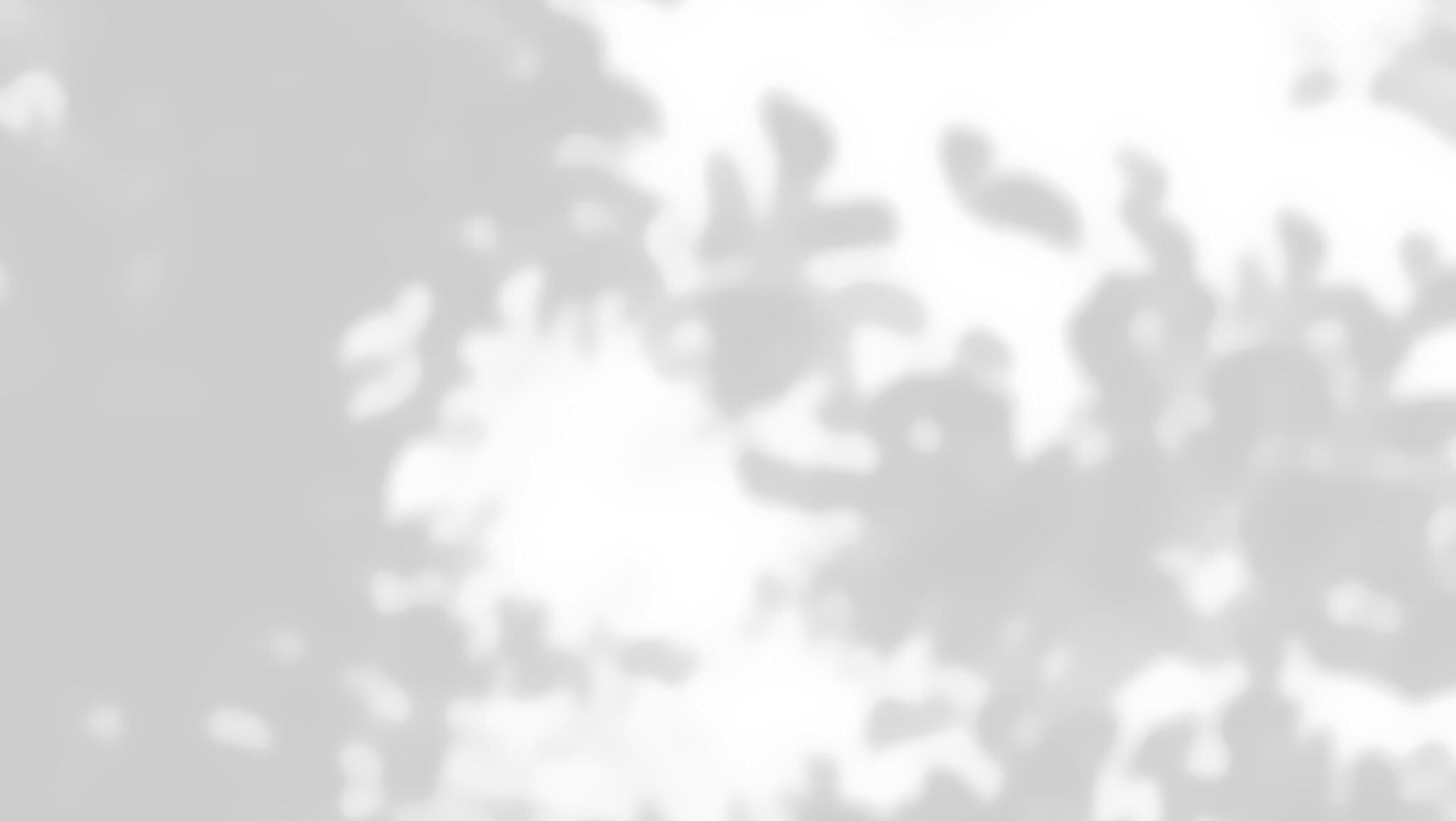 東京品川バレトン・ベリーダンス・バレエレッスン教室Lamira